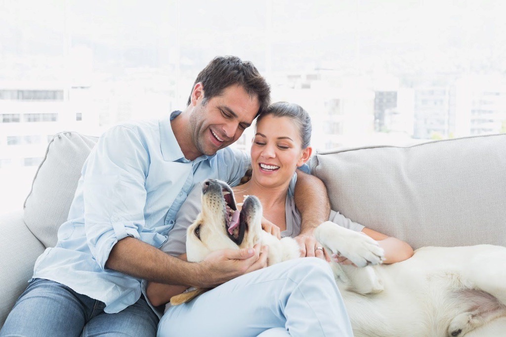A man and woman sitting on the couch with their dog.