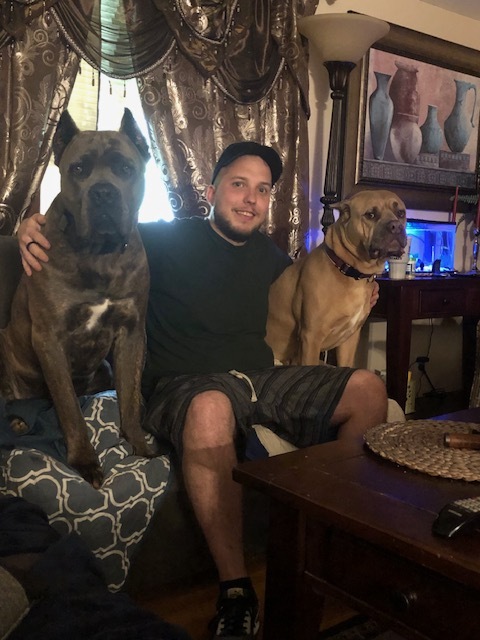 Person sitting with two large dogs indoors.
