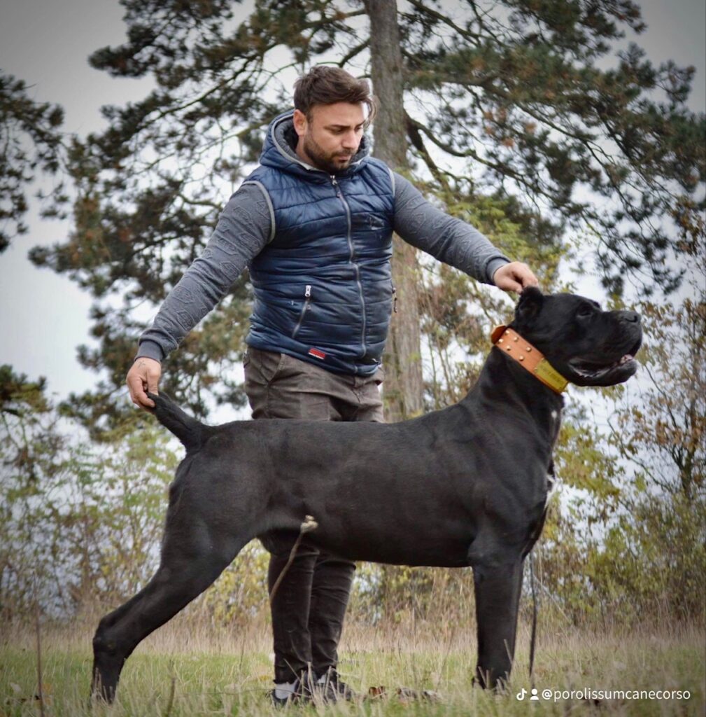 Man with large black dog outdoors.